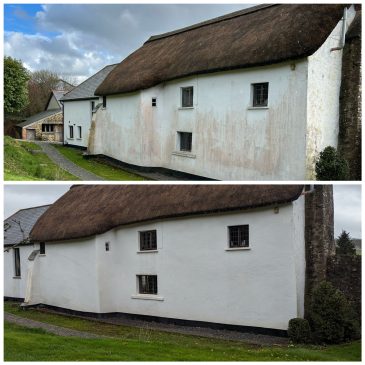 How do you clean lime rendered walls without damaging it?